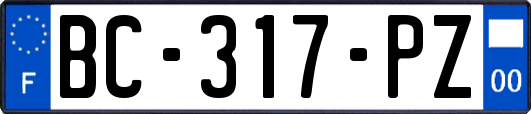 BC-317-PZ