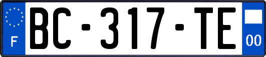 BC-317-TE