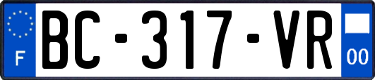 BC-317-VR
