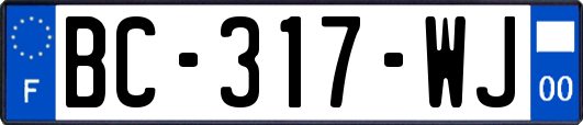 BC-317-WJ