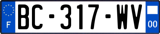 BC-317-WV