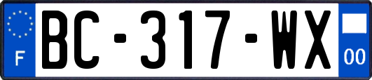 BC-317-WX