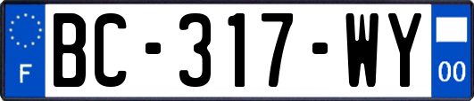 BC-317-WY