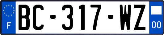 BC-317-WZ