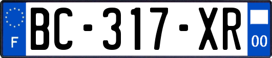 BC-317-XR