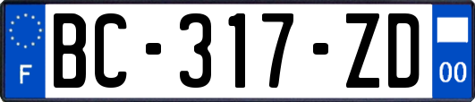 BC-317-ZD