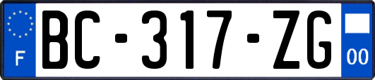 BC-317-ZG