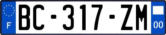 BC-317-ZM