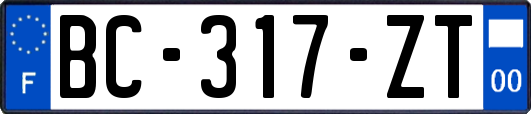 BC-317-ZT