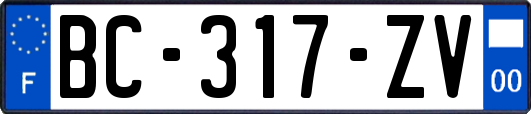 BC-317-ZV