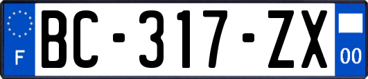 BC-317-ZX