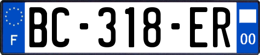 BC-318-ER