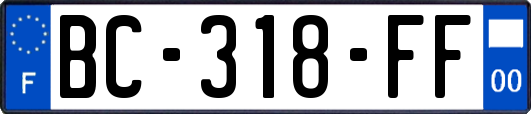 BC-318-FF