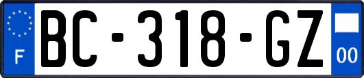 BC-318-GZ