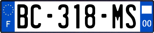 BC-318-MS