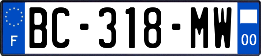 BC-318-MW