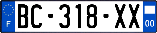 BC-318-XX