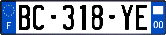 BC-318-YE