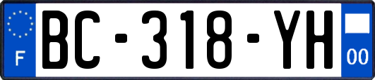 BC-318-YH