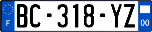 BC-318-YZ