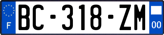 BC-318-ZM