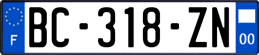 BC-318-ZN