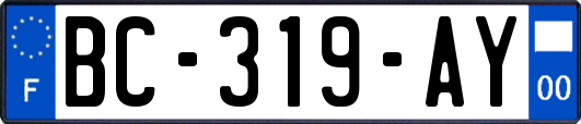 BC-319-AY