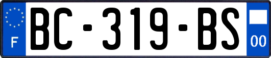 BC-319-BS