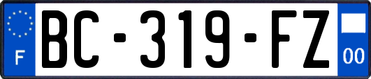 BC-319-FZ