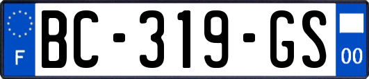 BC-319-GS