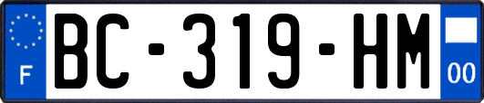 BC-319-HM