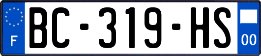 BC-319-HS