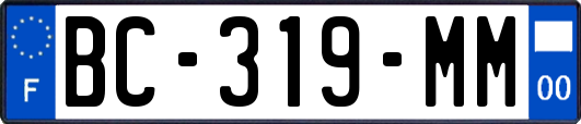 BC-319-MM