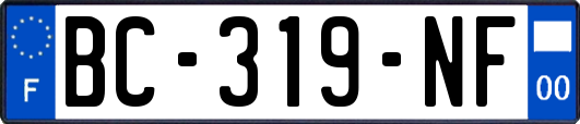 BC-319-NF