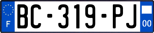 BC-319-PJ