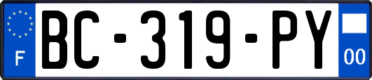 BC-319-PY