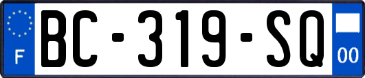 BC-319-SQ