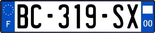 BC-319-SX