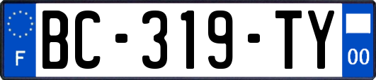 BC-319-TY