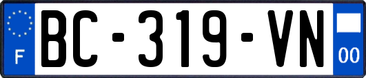 BC-319-VN