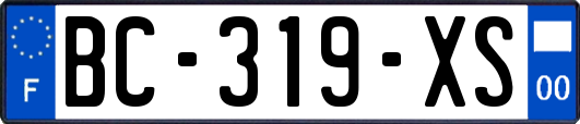 BC-319-XS