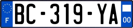 BC-319-YA