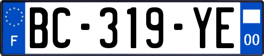 BC-319-YE