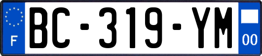 BC-319-YM