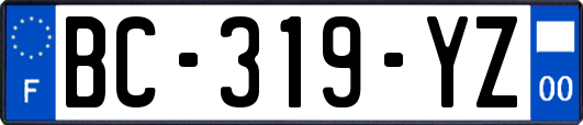 BC-319-YZ