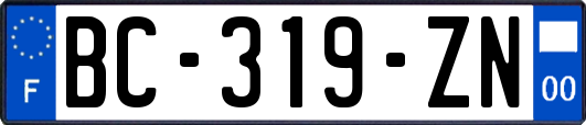 BC-319-ZN