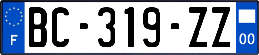 BC-319-ZZ