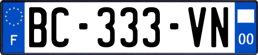 BC-333-VN