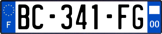 BC-341-FG