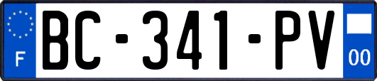 BC-341-PV